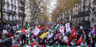 solidarity-rally-held-in-paris-for-palestinians,-other-communities-facing-repression-worldwide