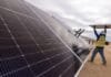trump-is-trying-to-kill-clean-energy-the-market-has-other-plans.