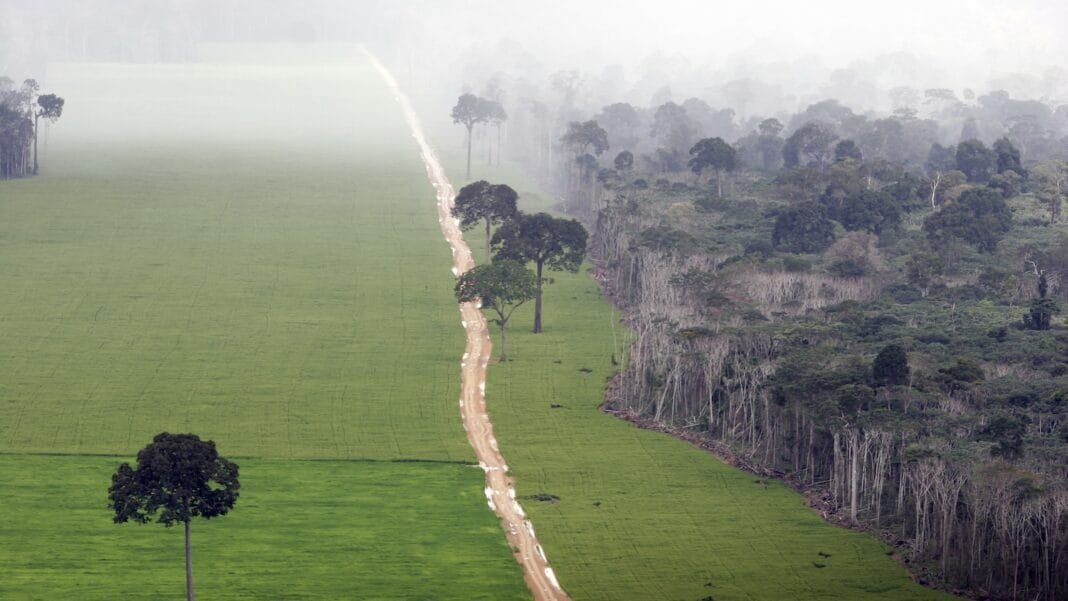 a-major-agreement-to-protect-the-amazon-is-falling-apart-after-20-years