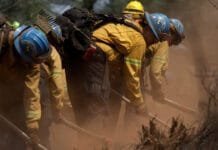 after-one-year-of-trump,-is-anything-left-of-the-american-climate-corps?