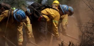 after-one-year-of-trump,-is-anything-left-of-the-american-climate-corps?