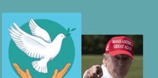 mixed-global-response-to-trump’s-proposed-board-of-peace