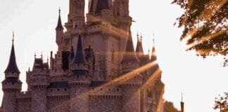 man-taking-uber-from-disney-world-shoots-at-driver-over-denny’s