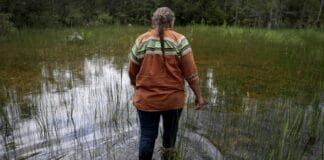 the-miccosukee-tribe-blocked-alligator-alcatraz-then-trump-blocked-a-bill-to-return-their-land.