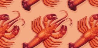 everything-you-need-to-know-about-viral-personal-ai-assistant-clawdbot-(now-moltbot)