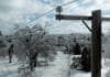 The winter storm exposed the grid’s real weakness: Lots of old poles the-winter-storm-exposed-the-grid’s-real-weakness:-lots-of-old-poles