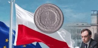 zloty-to-remain-poland’s-currency,-finance-minister-insists