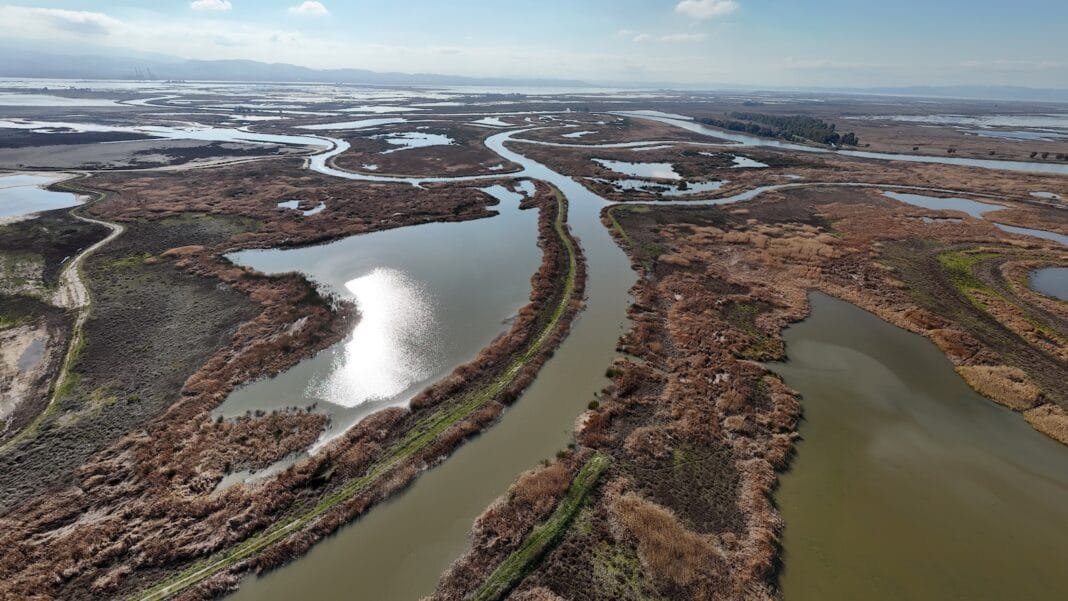inside-the-polarizing-plan-to-stash-carbon-in-a-california-wetland