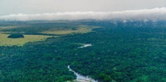 covid-19-cleared-the-skies-but-also-supercharged-methane-emissions