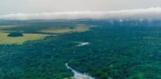 covid-19-cleared-the-skies-but-also-supercharged-methane-emissions