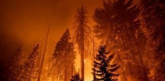 overshoot:-the-world-is-hitting-point-of-no-return-on-climate