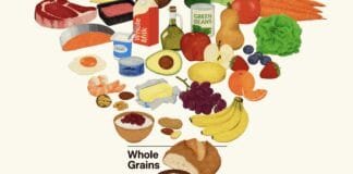 rfk-jr-food-pyramid-site-links-to-grok,-which-says-you-shouldn’t-trust-rfk-jr.