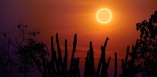 for-thousands-of-years,-solar-eclipses-have-been-associated-with-the-fate-of-rulers