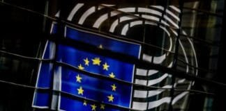 cross-party-meps-warn-eu-risks-sidelining-environmental-voices