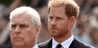 andrew-had-‘secret-plan’-to-team-up-with-harry-before-stunning-arrest