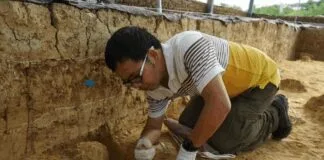 “million-year-old”-fossil-skulls-from-china-are-far-older—and-not-denisovans