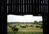 Data center builders thought farmers would willingly sell land, learn otherwise data-center-builders-thought-farmers-would-willingly-sell-land,-learn-otherwise