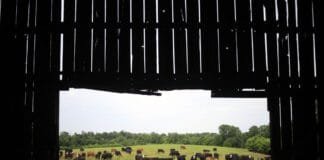 data-center-builders-thought-farmers-would-willingly-sell-land,-learn-otherwise