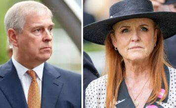 Andrew and Fergie ‘Locked into Shameless Cashgrab War’ andrew-and-fergie-‘locked-into-shameless-cashgrab-war’