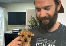 Lawsuit: Google Gemini sent man on violent missions, set suicide “countdown” lawsuit:-google-gemini-sent-man-on-violent-missions,-set-suicide-“countdown”