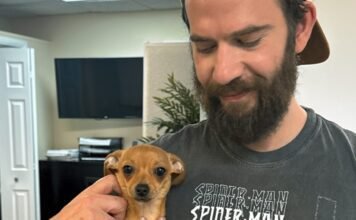 Lawsuit: Google Gemini sent man on violent missions, set suicide “countdown” lawsuit:-google-gemini-sent-man-on-violent-missions,-set-suicide-“countdown”