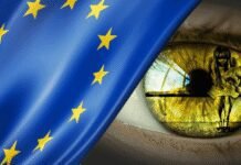 one-in-three-eu-women-face-violence,-most-cases-unreported,-survey-finds