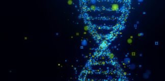 large-genome-model:-open-source-ai-trained-on-trillions-of-bases