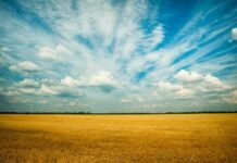 meteorologists-warn-that-global-temperatures-could-climb-to-record-levels-in-2026