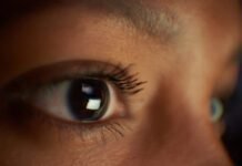 why-are-vertebrate-eyes-so-different-from-those-of-other-animals?