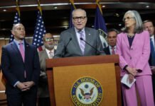 dems-need-to-wise-up:-ice-is-a-threat-to-our-elections