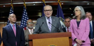 dems-need-to-wise-up:-ice-is-a-threat-to-our-elections