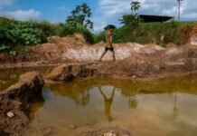 venezuela’s-fragile-environment-faces-rising-risks-as-us-pushes-for-oil-and-critical-minerals-and-illegal-gold-mining-spreads