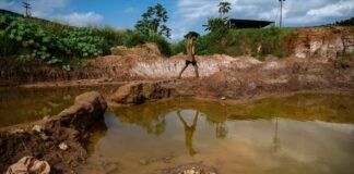 venezuela’s-fragile-environment-faces-rising-risks-as-us-pushes-for-oil-and-critical-minerals-and-illegal-gold-mining-spreads