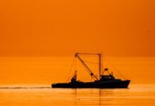 fishing-crews-in-the-atlantic-keep-accidentally-dredging-up-chemical-weapons