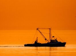 fishing-crews-in-the-atlantic-keep-accidentally-dredging-up-chemical-weapons