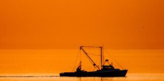 fishing-crews-in-the-atlantic-keep-accidentally-dredging-up-chemical-weapons