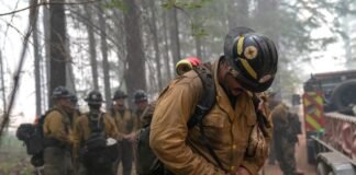 us.-forest-service-stops-issuing-firefighter-pants-that-contain-pfas,-following-propublica’s-reporting