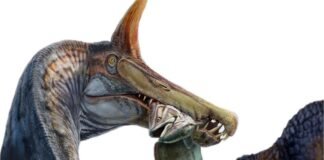 a-unicorn-like-spinosaurus-found-in-the-sahara