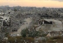 Israel Destroyed Gaza’s Roads and Transit. Now, We Walk Everywhere. israel-destroyed-gaza’s-roads-and-transit-now,-we-walk-everywhere.