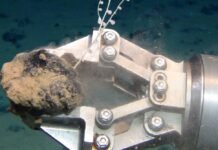 mining-the-ocean-floor:-5-deep-sea-sources-of-critical-minerals-essential-to-technology,-and-the-fragile-marine-life-at-risk