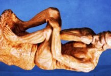 ig-nobels-ceremony-moves-to-europe-over-security-concerns