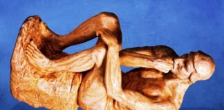 ig-nobels-ceremony-moves-to-europe-over-security-concerns