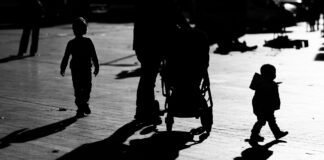 dhs-seeks-access-to-massive-employment,-salary-and-family-database-legally-restricted-to-use-in-child-support-cases