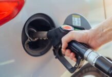 oil-price-escalation-could-help-china-grasp-more-green-global-leadership