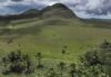 the-secret-superpower-of-brazil’s-vast-savanna
