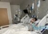25-year-old-mountain-biker-dies-weeks-after-rattlesnake-bite-on-california-trail