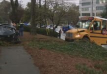 Bus Driver and Students Rushed to Hospital After Terrifying Crash bus-driver-and-students-rushed-to-hospital-after-terrifying-crash