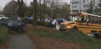 bus-driver-and-students-rushed-to-hospital-after-terrifying-crash