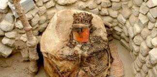 centuries-before-the-inca,-peru’s-wealthy-imported-parrots-from-afar