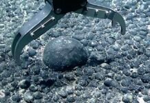 in-its-hunt-for-critical-minerals,-the-us-is-misconstruing-what-is-and-is-not-america’s